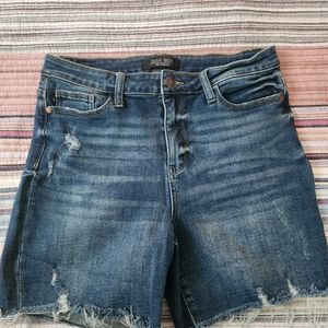 EUC Judy Blue Shorts, Size L